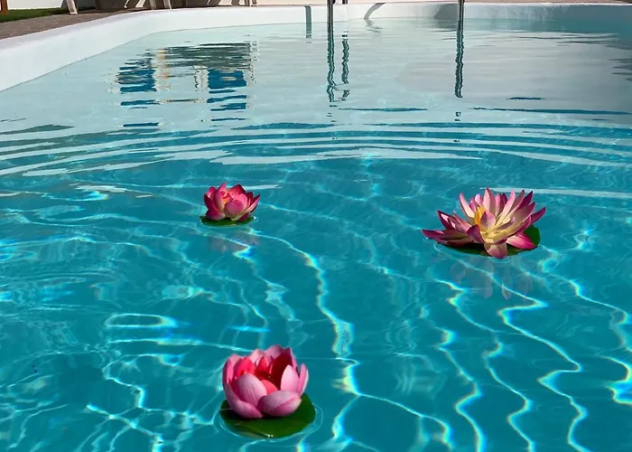 Pico Partido Heated Pool * Tinguaton